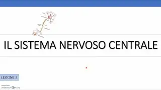 #2_ Le funzioni della corteccia cerebrale