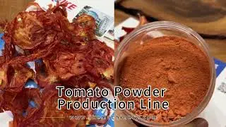 Tomato Powder Production with IKE Machinery