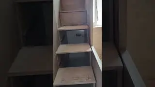 ​