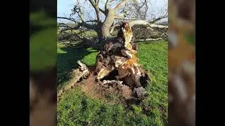 Storm Eunice UK 2022