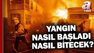 Los Angeles yanıyor! Yangın nasıl başladı, nasıl bitecek? Yangının ABD ekonomisine zararı ne oldu?