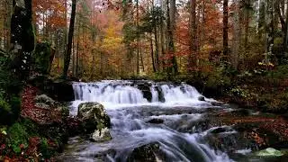 Deep Focus Ambient Study and Work Music for Concentration | Calm Productivity
