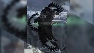 Lazio tu sei l'eternità