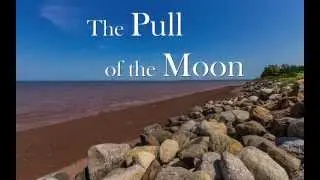 The Pull of the Moon