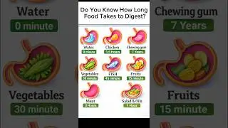 How Long Does Food Stay in Your Stomach? 😱 | This Will Shock You! #unhealthyfood #unhealthyhabits