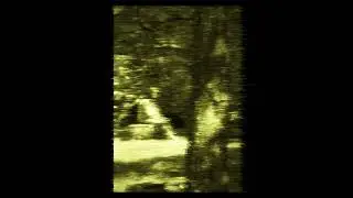 Krzywda - Where