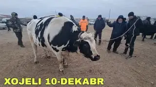 10-ДЕКАБРЬ/2023/ХОЖЕЛИ МАЛ БАЗАРЫ/СКОТНЫЙ РЫНОК/BUQALAR/BIG BULLS IN THE WORLD/BIG COW
