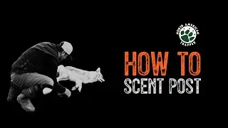 HOW TO / SCENT POST ~ #18  Beginner Trapping Series ~