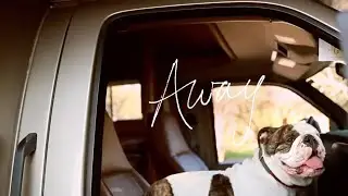 Dogs - Go RVing TV Commercial