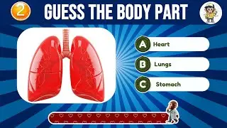 Guess the Body Part Challenge 🔍 | Fun + Facts | QuizMonkey Telugu