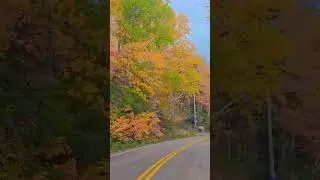 #fallinlovewithnature🍂🍁❤️🍁🍂🌲🌳🪾#vibrantcolors