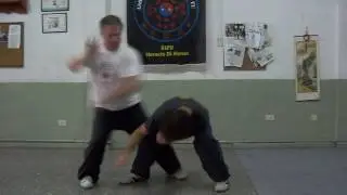 T&eacute;cnica de Choy Li Fat