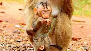 Mom I'm so cold and hungry, pity Rex shaking hand no milk, Rex shaking whole body hungry food
