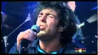 Bryan Scary & the Shredding Tears- Heaven On A Bird