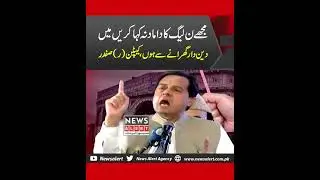 Mujy PMLN Ka Damad Na Kaha Karen Captain Safdar Viral Video