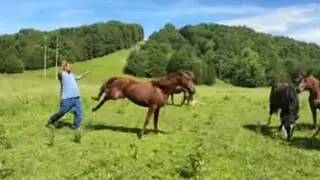 LIVE With Our Horse Herd And THIS HAPPENED….