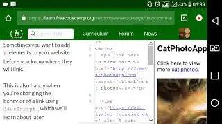Basic HTML and HTML5 [part13]: Make Dead Links Using the Hash Symbol