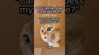 CAT MEMES 🐱 WHEN DAD SURPRISES MOM #relatable #cat #funny #valentines #shorts