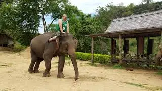 Lan Xang = Elephant (Live)🌾 🐘 🍃🍂🌴