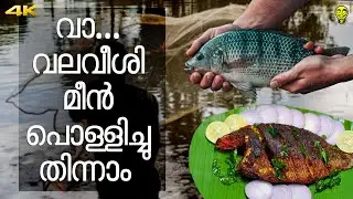 വാ, 🐟മീൻപിടിച്ചു പൊള്ളിച്ചു തിന്നാം!! 🐠Fish Farm Harvest & Grilling Fish | Ramesh & Suresh Vlogs