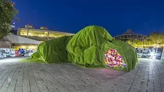 Making of Sean Martindale's Home Turfed