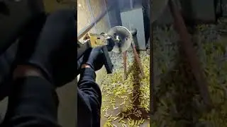 Turkish Gold 12 Bore AK Shotgun