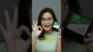 SSD 256GB Cepat! RX7 NVME Garansi Panjang! #SSDNVME