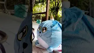 Hanička a Murko | Unboxing | Biggies Xxl Dog | #biggies | #hanickaamurko | #shorts