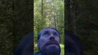 цены подписок на pro версии нейросетей #virus #montage #ai   #цены #юмор #top #shotsvideo #viral #ии