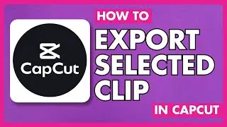 How to Export Selected Clip in Capcut on PC & Mac | UPDATED | Easy Guide