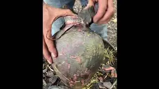 Saggar fired Raku vessel  #fire #experiment #copper