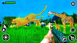 Animal Safari Hunter Android Gameplay FHD