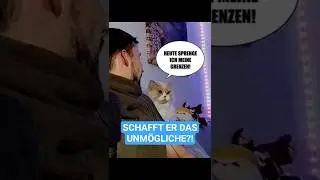 Kann SUPER(KATER) MILO den Sprung schaffen?