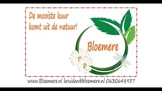 Weegbree Olie maken voor ruwe handen