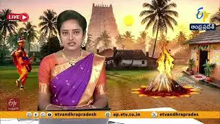 విజయవాడలో కోడి పందేల సందడి | Cockfight Buzz in Vijayawada During Sankranti | 🔴LIVE