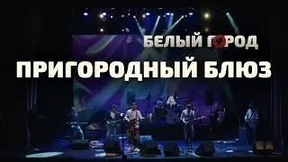Белый Город &ndash; Пригородный Блюз (Зоопарк cover), Live 13.12.2025