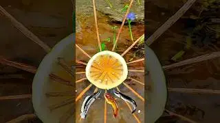 ☑️Survival Skills: Build Fish Trap By Muddy 🐠 soil #bushcraft​ #camping​ #survival​ #outdoors