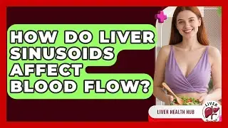 How Do Liver Sinusoids Affect Blood Flow? - Liver Health Hub