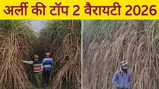 अर्ली की टॉप 2 वैरायटी 2026 / Top 2 early ganna variety 2026 / new ganna variety 