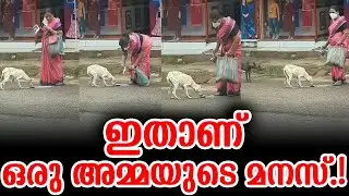 ഇതാണ് ഒരു അമ്മയുടെ മനസ്.! | This Is Humanity