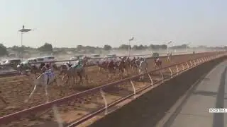 R11 5 10 2025H الشوط (11) حضور للسيد/ سعيد راشد صغرون المزروعي