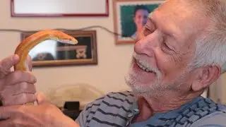 Abita con un serpente e si trova la polizia in casa