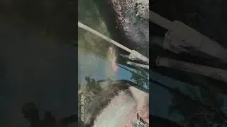 Capturing Nature's Essence.🐟🐠#explore#fish#sea #nature#vlog #youtubeshorts#naturephotography #foryou