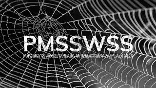 Project Mutant Spider, Spider Webs & Spider Silk - Episode 1 (Audio Only)