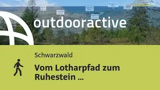 Vom Lotharpfad zum Ruhestein (Nationalparkzentrum)