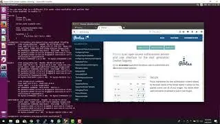 Docker Self Hosted Registry - Portus