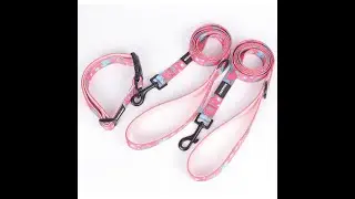 OKEYPETS Pet Accessories OEM accept adjustable Durable Heavy Duty Strong Dog Collar and Lesah
