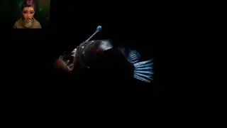Deep sea anglerfish flashes in the darkness + Zoey and Mira comfort Rumi 