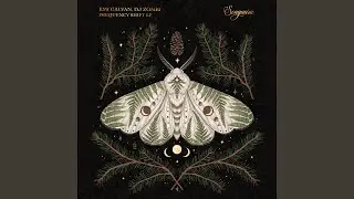 Frequency Shift (Extended Mix)