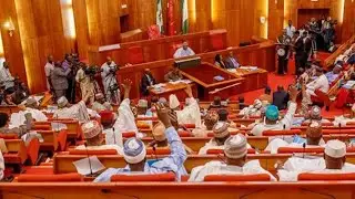 TELECOM: SENATE CALLS FOR DATA PRICE HIKE REVIEW